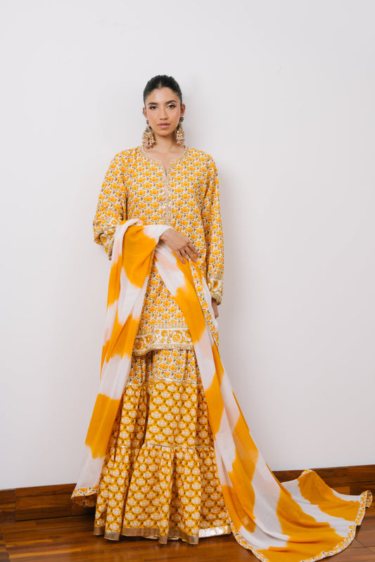 Basanti NJ-MN1-031